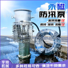 ��ЯʽǱˮ�õ綯��������Ƶ��ˮ��Ӧ�������������������ŷ�Ѵ��