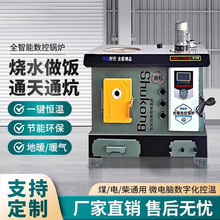 通炕数控节能锅炉农村小型锅炉家用烧煤电柴地暖暖气炉新型取暖炉