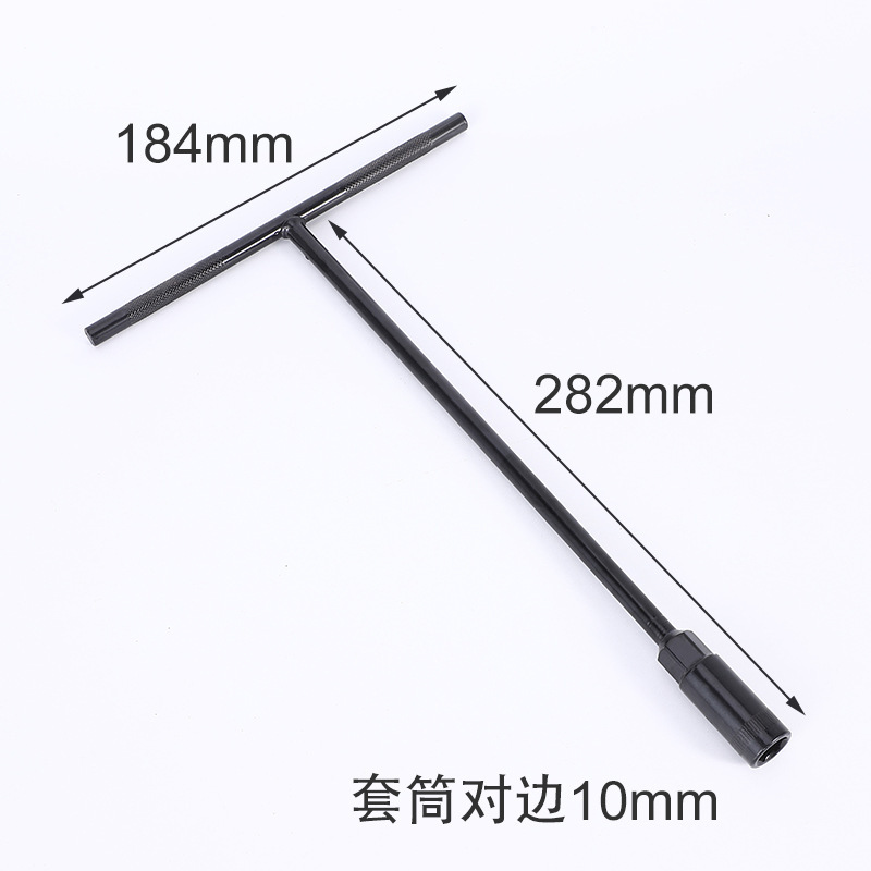 10(전기영동 T형)