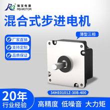 RB Motor20W����86mmNEMA34���ʹ�Ť�ز����������ֱ��ֱ����