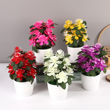 12ɻppٻ辰͏d[kb滨