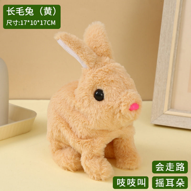 Conejo de pelo largo - marrón