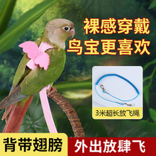 �B���W�^�������w�K���P��Ƥĵ���w������������B������Ʒ���