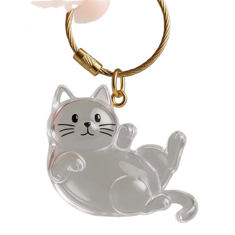新品透明猫毛钥匙扣挂件纪念收纳盒饰扭蛋猫咪跨境毛发存放胶囊包|undefined