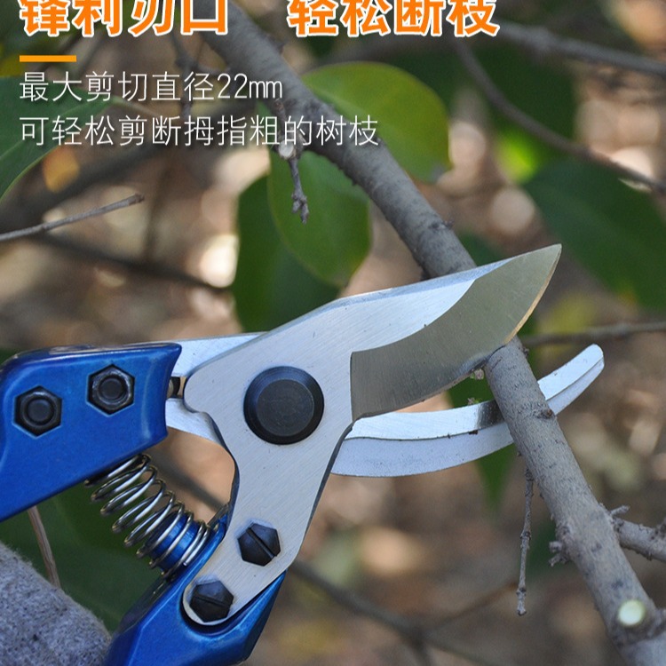 园林修枝果树剪省力园艺剪花摘果修枝剪多功能家用盆景修枝剪批发