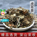 虎耳草中药材500g高山野生药用无硫金线吊芙蓉姬虎儿草金丝荷叶