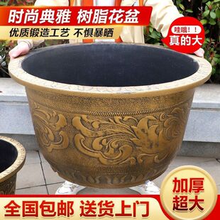 �ش��غ����֬�Ӻ�����F������̨ͥԺ�N���B�ɻ�������