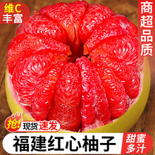福建红心柚子蜜柚新鲜水果当季红肉葡萄甜柚时令大果琯溪红柚柚子