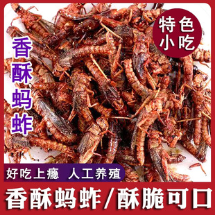 ���r��ըΛ�Ƽ�ʳ�������x��ʳ�������x���}�����Bֳ�x����ʳС��