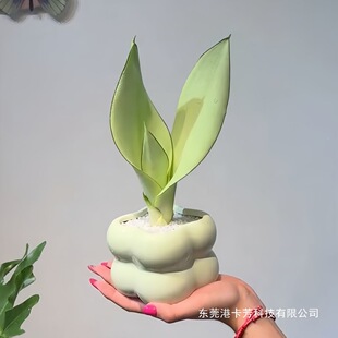 ����Ƥ�m����ȩ�����՚��k���҃ȿ͏d���ҾGֲ�������Ժ��Bֲ��