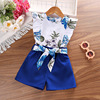 Summer cute set, jacket sleevless, suitable for import, wholesale