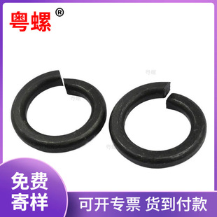 65Mn�l�ڏ��|GB93�����l�ڏ��ɉ|ȦҎ��l�ڏ��|M2-M42