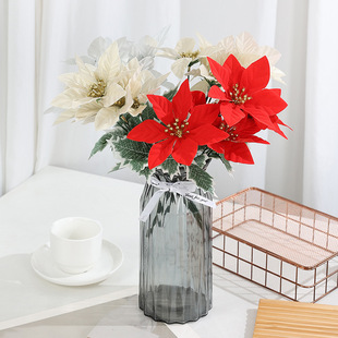 �����}�Q��һƷ�t�� ���^һƷ�t�}�Q���b�Ʒ�羳���N���滨���l