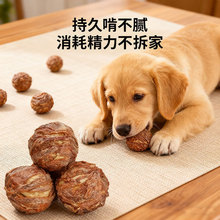 ������ʳ��ܽ��ĥ������������д���С��Ȯ��ҧ���X�u��ȦţƤ