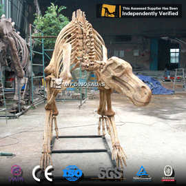 慈母龙骨架 恐龙骨骼 主题餐厅游乐场公园景区商场特色装饰