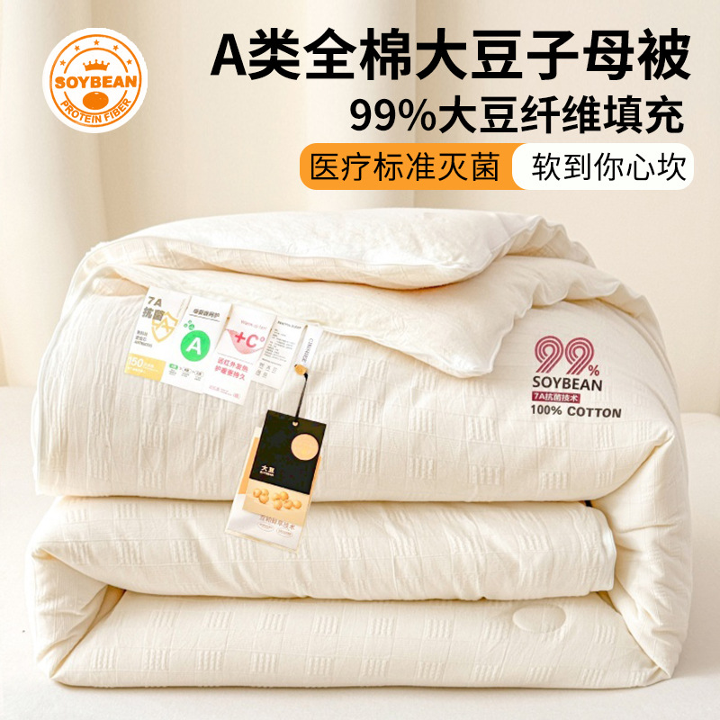 Category a Maternal and Infant Grade Soy Fiber Quilt, Cotton Four-Season Two-In-One Quilt, Thickeneded Warm Quilt Core, Autumn and Winter Quilt