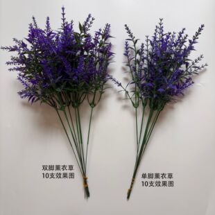 �N��޹�²����ϻ����滨������ֲ��Gֲ���Ի��ܷ���ֲ�ﻨ������