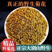 ҰɽҰ�ջ�500g��Ұ��Ұ�ջ��ݲ��S�ջ���Ұ�ջ���Ұ������ˮ��