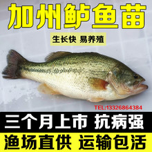 |~|~絭ˮBֳʳˮں|~·w~]