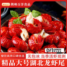 荆州小龙虾源头工厂干冰龙虾尾冷链配送餐饮商用虾尾批发批量供应