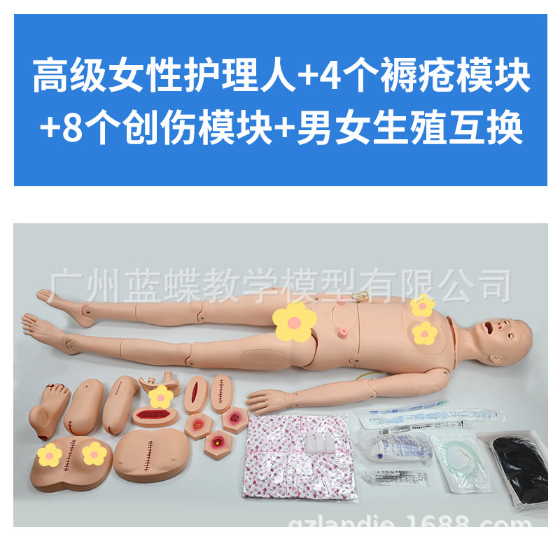 ҽѧģ����ģ�Ͷ๦�ܻ�������ģ�ػ�����ѵ������Ƥ�����ķθ���