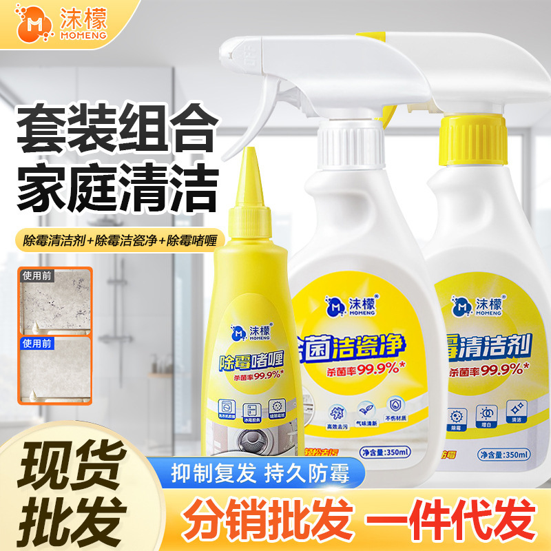 Foaming Cleaner for Porcelain, Bathroom Glass Descaling, Refrigerator Gasket Mold Removal, Wall Mold Removal Kit