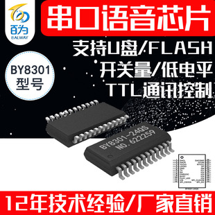 �����Z��оƬ MP3����IC ֧�ֲ�USB ���FLASH U�P BY8301-24QS