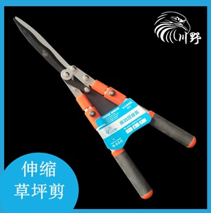 Դ�^؛Դ�h�ʼ���ݼ�@�־G�����߼�������s��ƺ����֦���G�h