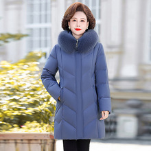 Ʒ�����ꋌ����q��Ů���L�������@�ݼӺ񱣕��Bñ�����q���b����