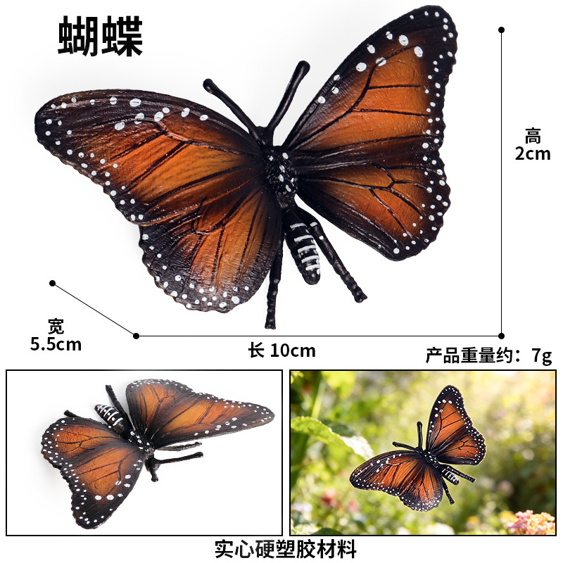 661 mariposa