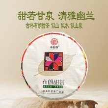 普洱生茶布朗山甜茶勐海古树普洱茶云南特产饼茶生普茶叶甜润