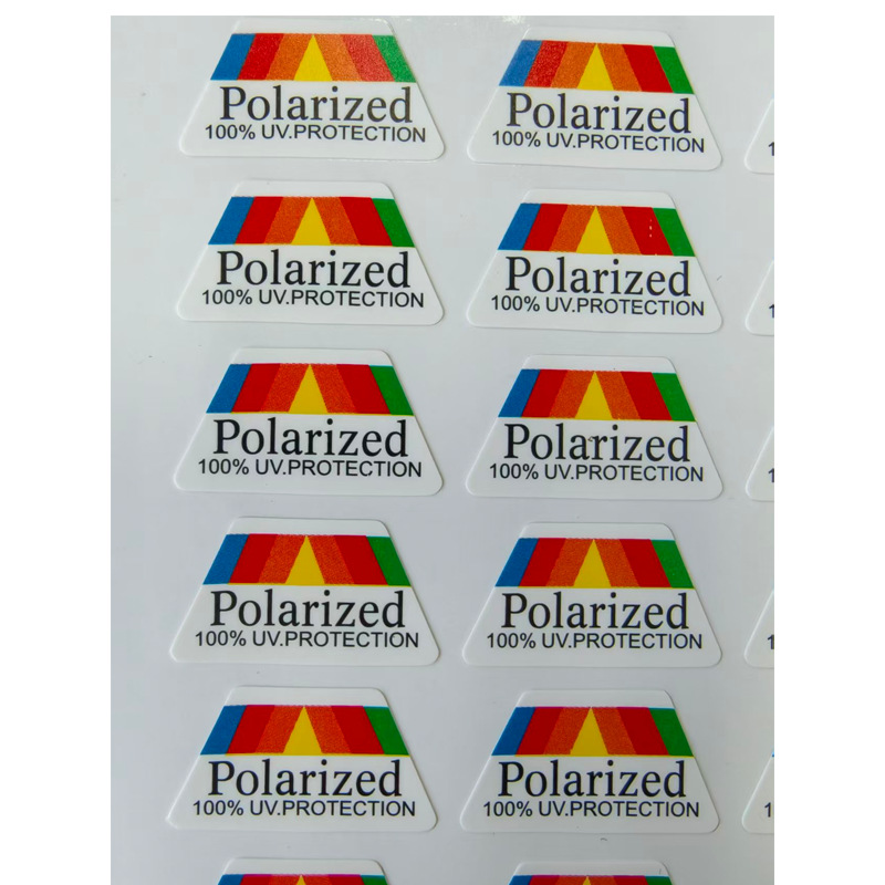 Polaroid 100