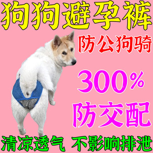 ��������ѝĸ���������������l��ѝ������ѝ����ѝ����йѝ���}�_