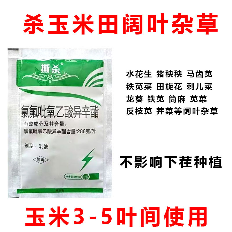 杀玉米田阔叶杂草氯氟吡氧乙酸水花生马齿苋猪秧秧阔叶草除草剂