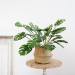 龟背叶仿真花绿植盆栽软胶单支7头大叶龟背竹家居盆景植物装饰