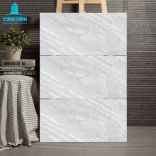 �Ͳ���ɫ�ɴu300*600ͨ�w�а��R�����ⱡ��N���l���g����ʯ���u