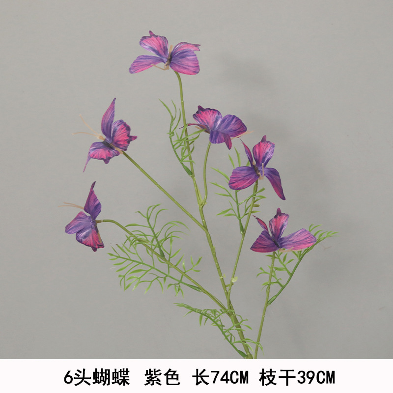 새로운 6개의 머리 나비