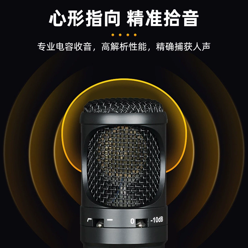 Профессиональный микрофон, арендное оборудование, bluetooth