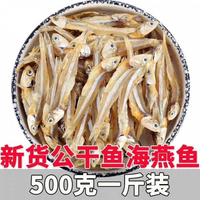 新货公干鱼500g小鱼干海燕银鱼干海鲜干货自晒鱼丁香鱼白帆鱼50g