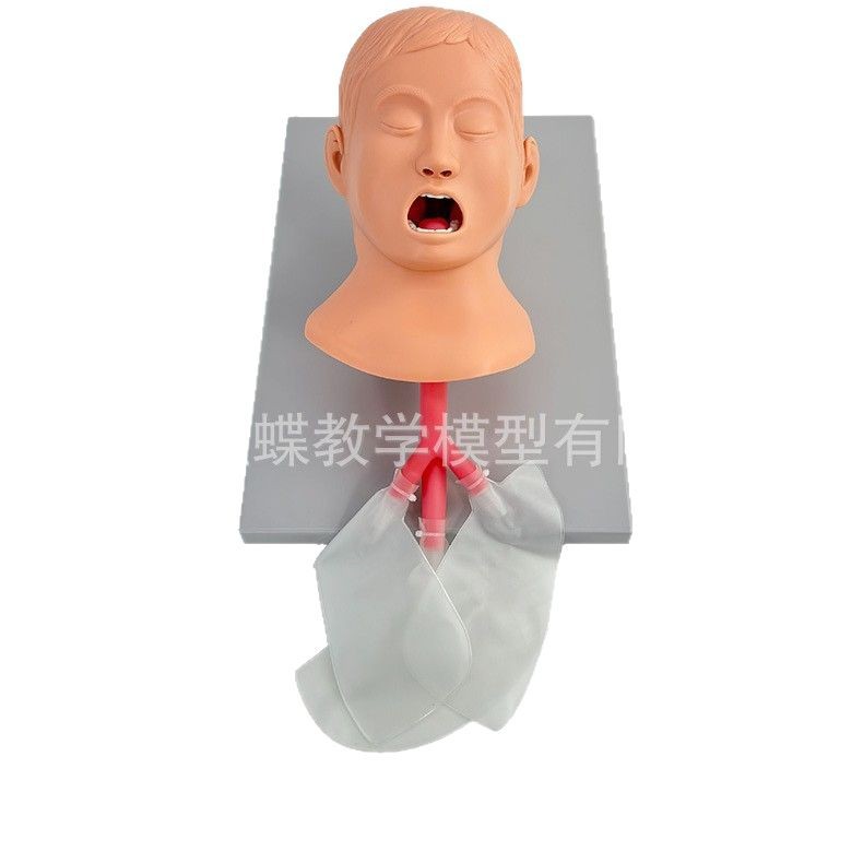 �߼���ͯ���ܲ��ģ�� ���׻��� ����ģ�� ���׼���ѵ��ģ��15/3