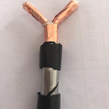 ZR-DJYVP2VP2-22�z�bӋ��C��|2*2*1 1.5ƽ��2��4о�F؛����늾�