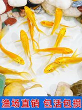 �S���\�����~��ؔ�~���~���~���B�ͻ���ˮ�~�~�羚��С���~�^�p�~