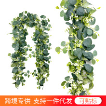 ��������ٗl �S��ֱ�N �Gɫ�ȼ���ֲ������~�����Ҿ��bٻ���