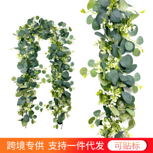��������ٗl �S��ֱ�N �Gɫ�ȼ���ֲ������~�����Ҿ��bٻ���