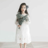 Spring summer dress, children's lace girl's skirt, small princess costume, Korean style