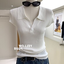 �����@����������PoloV�I����ᘿ�����2026�¿���N�����s����