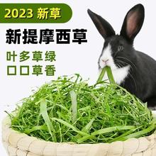 ʳÕĦĥʳò؈ɲݲݼZ