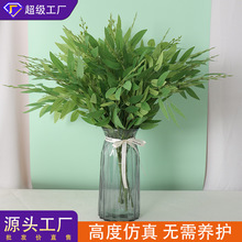�����~������ֲ�����~ ��Y��c·������ ����ֲ��zӡ���������~