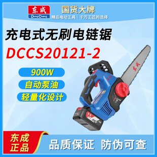 �|����䏴���12��oˢ����ֳַ�ľ䏆����DCCS20121-2