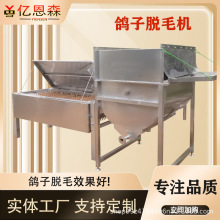 厂家定制肉鸽脱毛机 鹌鹑脱毛机 鸽子脱毛机高效